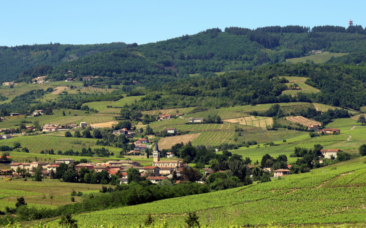 Vue panoramique - Lantignié