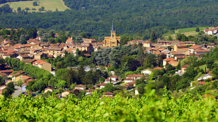 Vue panoramique - Le Bois-d'Oingt