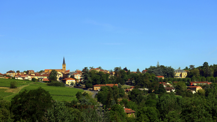 Vue panoramique - Le Bois-d'Oingt