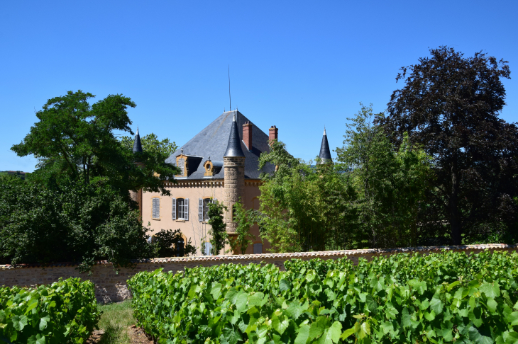 Château de La Foret - Le Bois-d'Oingt