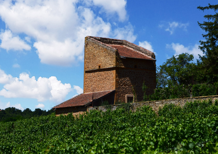 Pigeonnier - Le Bois-d'Oingt