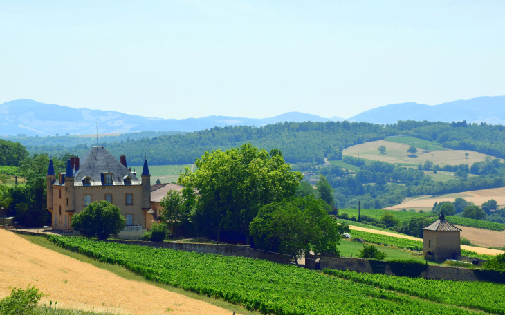 Château de La Forêt - Le Bois-d'Oingt