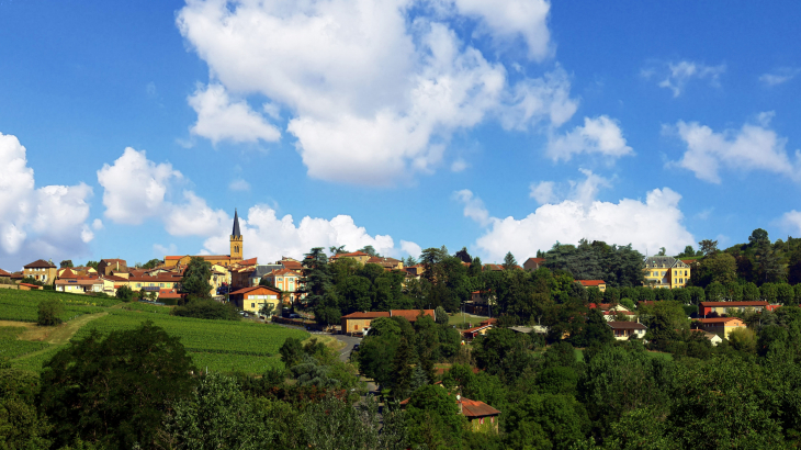 Vue panoramique - Le Bois-d'Oingt