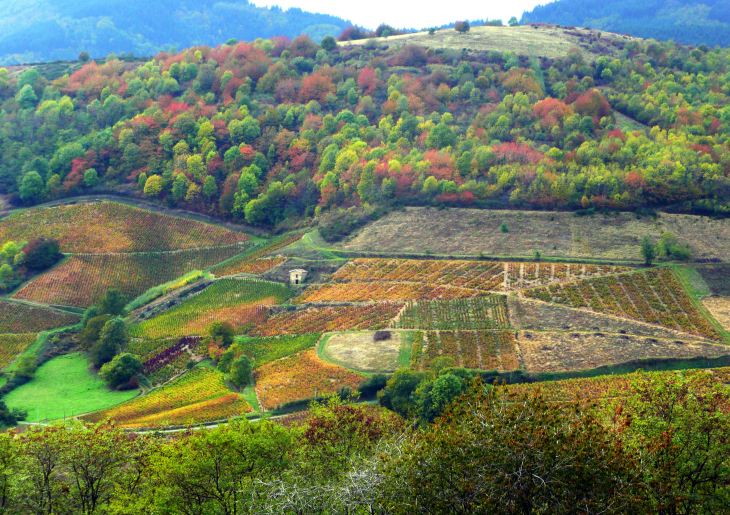 Automne - Le Perréon