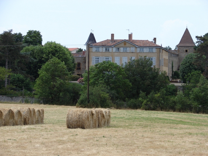 Château de Cruzols - Lentilly