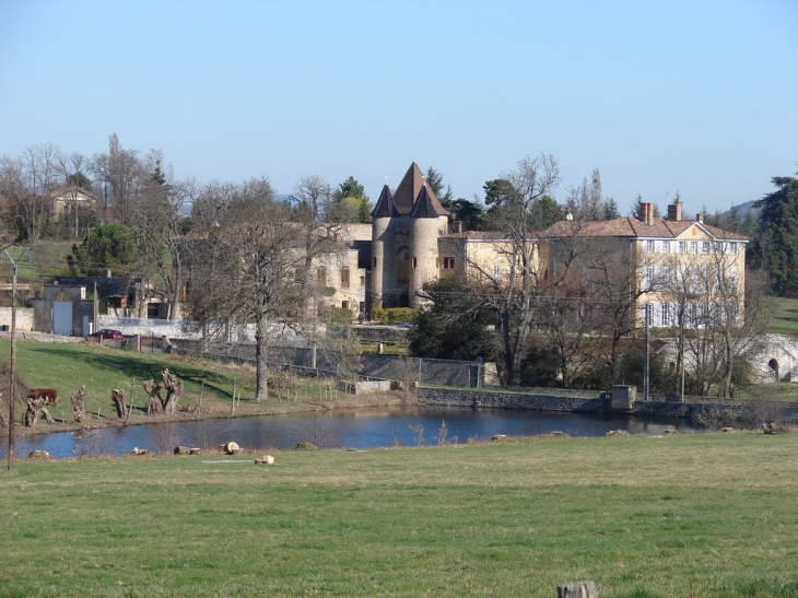 Le Château de Cruzols - Lentilly