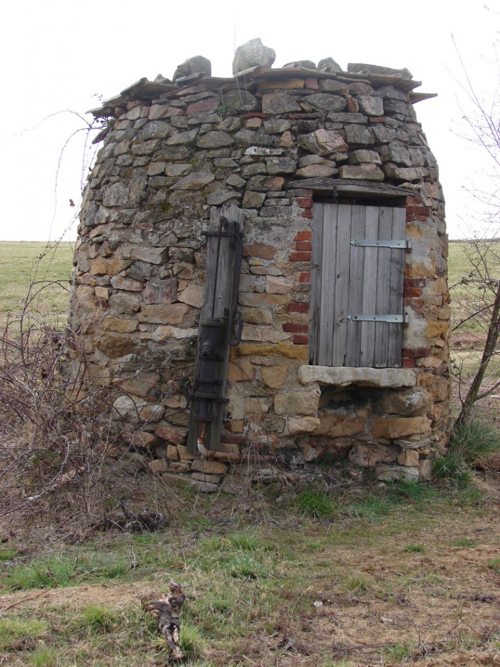 Le Vieux Puits Chemin de Traluy - Lentilly