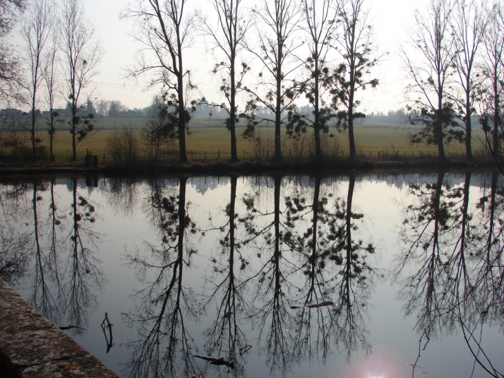 L'Etang du Château de Cruzols - Lentilly