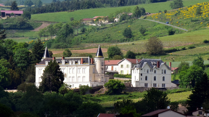 Château - Les Ardillats