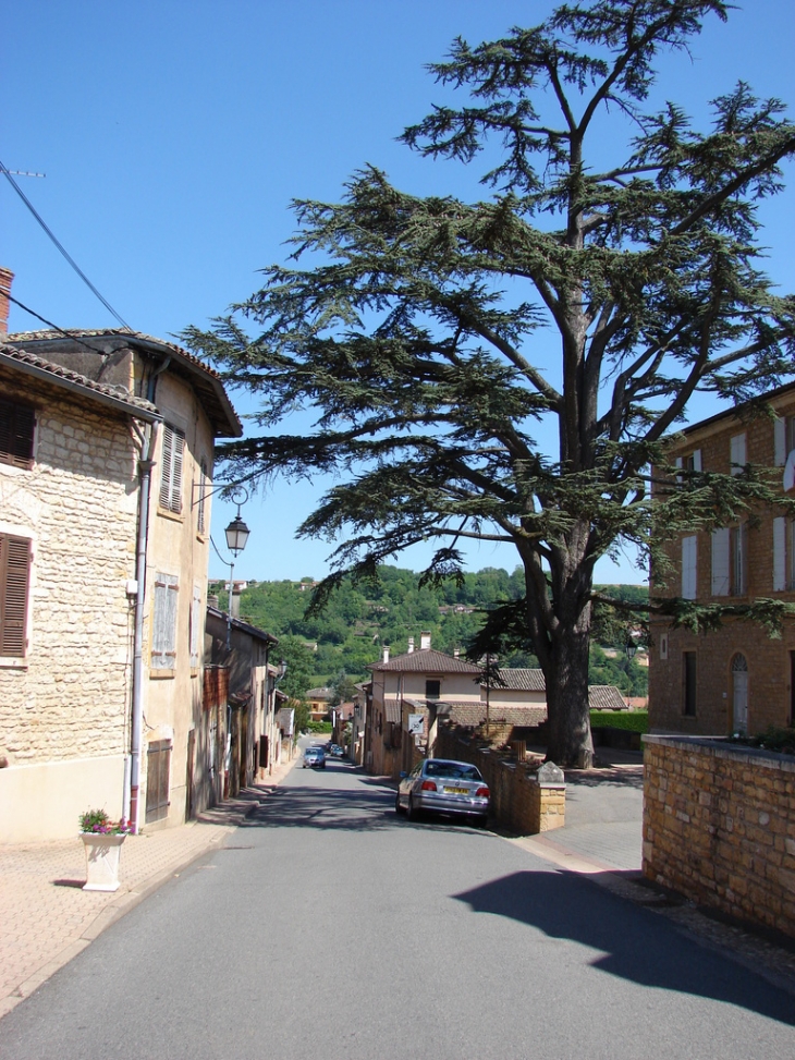 La montée Saint-Eloi - Liergues