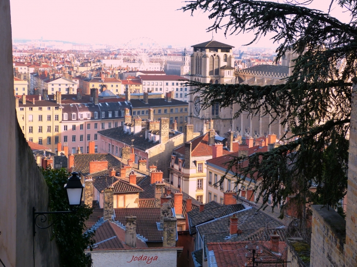 Le Vieux Lyon, vu de Fourvière. La cathédrale Saint-Jean. - Lyon 5e Arrondissement