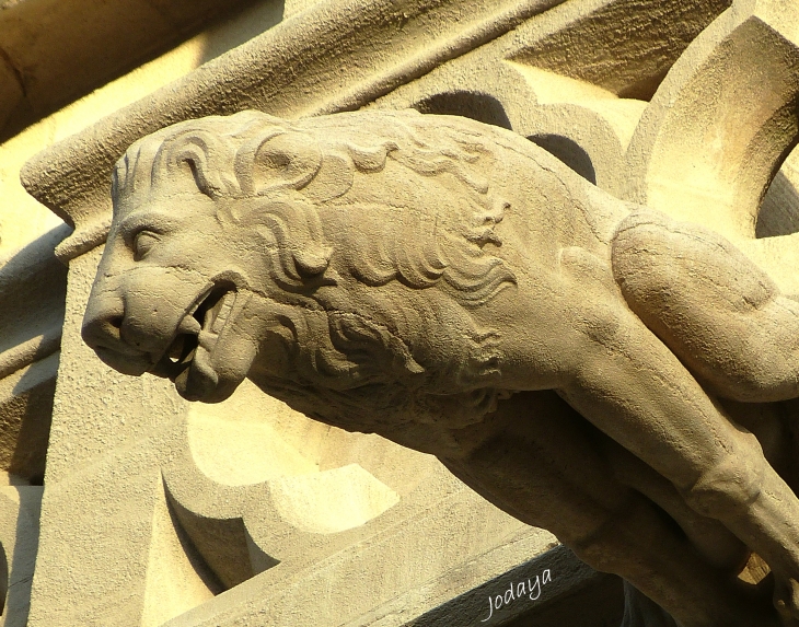 Le Vieux Lyon. Cathédrale Saint Jean. (Détail) - Lyon 5e Arrondissement