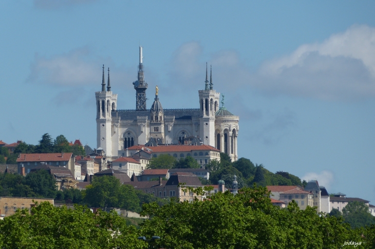 Lyon. Basilique de Fourvière. - Lyon 5e Arrondissement