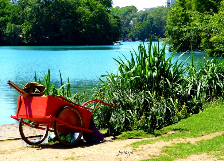 Lyon. Parc de la Tête d'Or. Le lac. - Lyon 6e Arrondissement