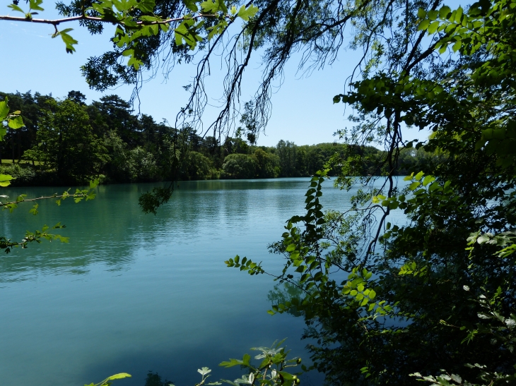 Lyon. Parc de la Tête d'Or. Le lac. - Lyon 6e Arrondissement