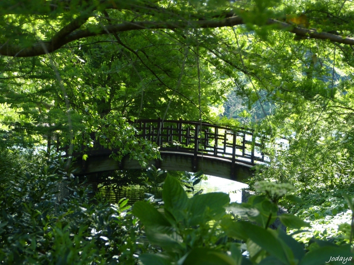 Lyon. Parc de la Tête d'Or. - Lyon 6e Arrondissement