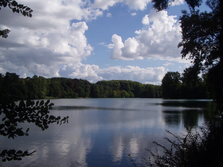 Parc de la Tête d'Or, le lac - Lyon