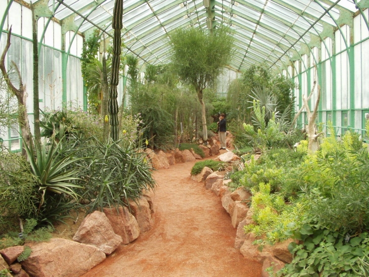 Parc de la Tête d'Or, serre - Lyon