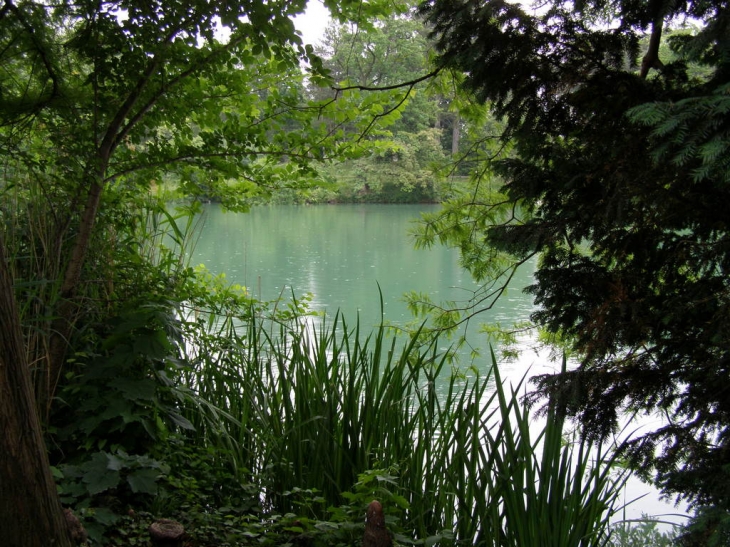 Lac parc de la tete d'or - Lyon