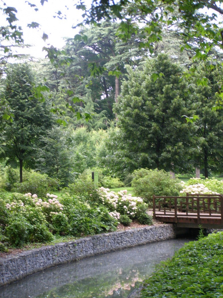 Parc de la tete d'or près de la grande roseraie - Lyon