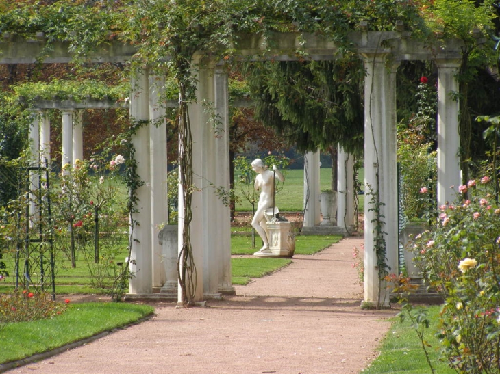 PETITE ROSERAIE AU PARC DE LA TETE D OR - Lyon