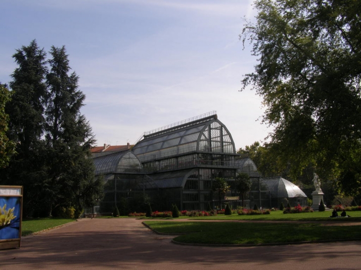 GRANDE SERRE DU PARC - Lyon