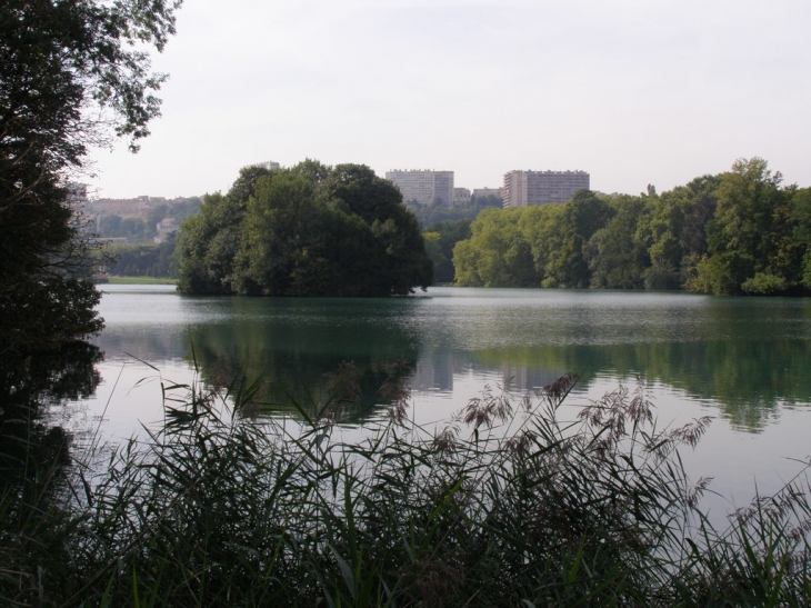 LAC PARC TETE D OR - Lyon