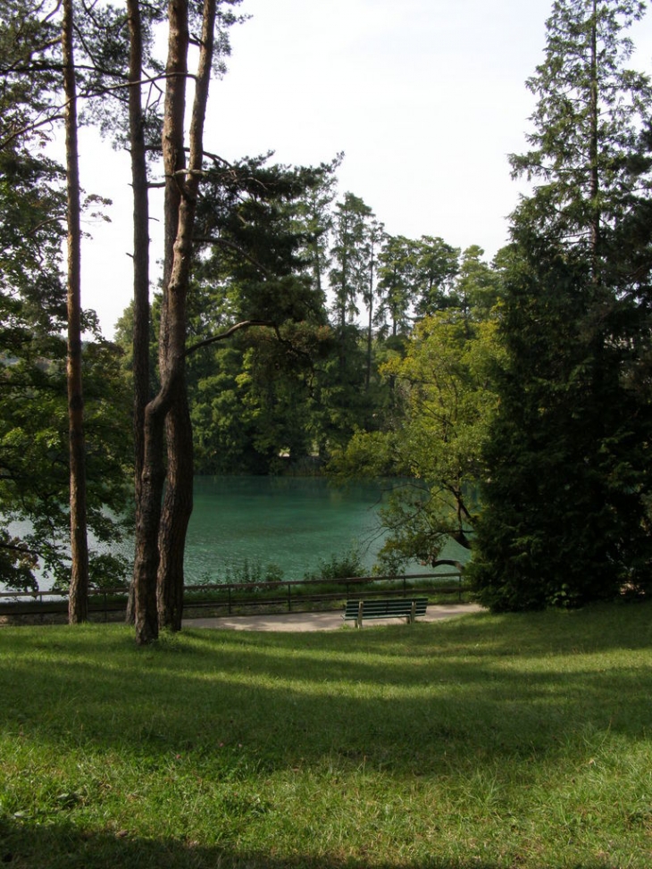 Le parc tete d or - Lyon