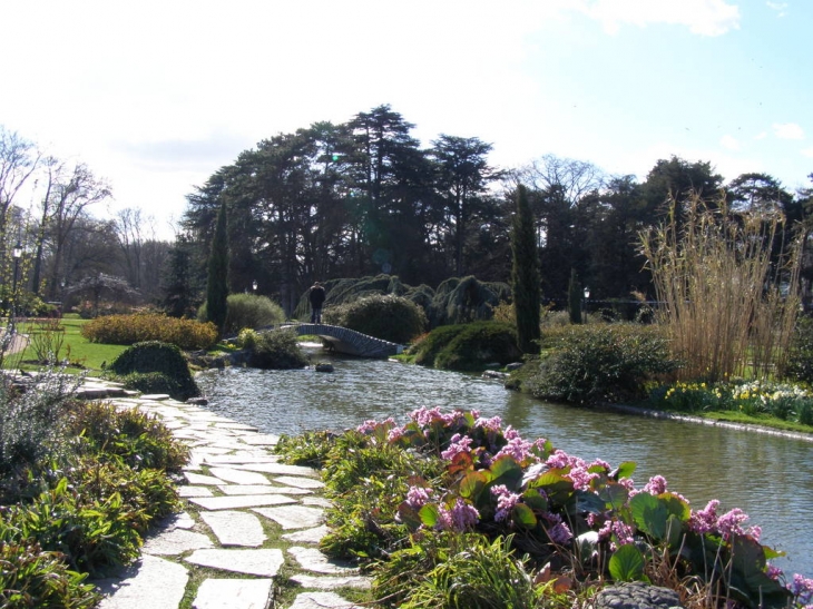 Grande roseraie au parc - Lyon