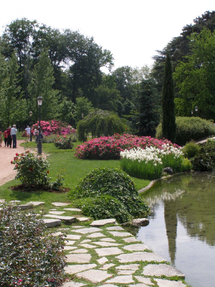 Grande roseraie au parc - Lyon