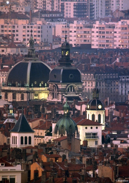 Dômes de l'Hotel Dieu - Lyon