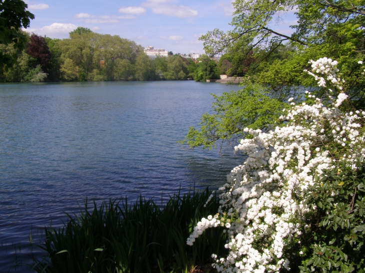 Exlposion du printemps au bord du lac - Lyon