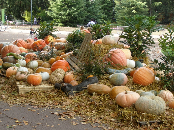 Exposition de diverses courges au parc - Lyon