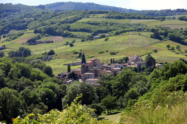 Vue panoramique - Marchampt