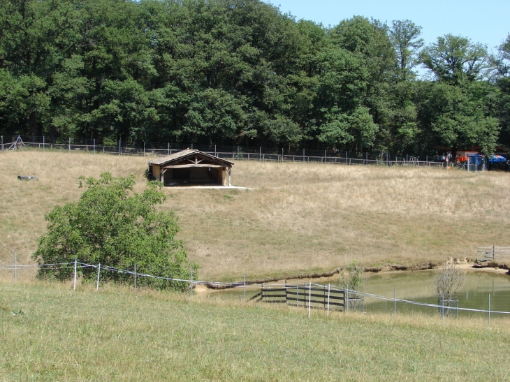 Le Parc de Lacroix Laval - Marcy-l'Étoile