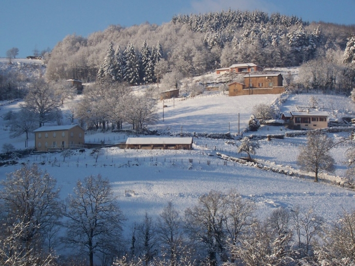 Mardore en hiver