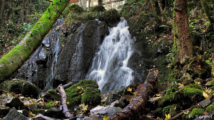 Cascade du Saut - Monsols