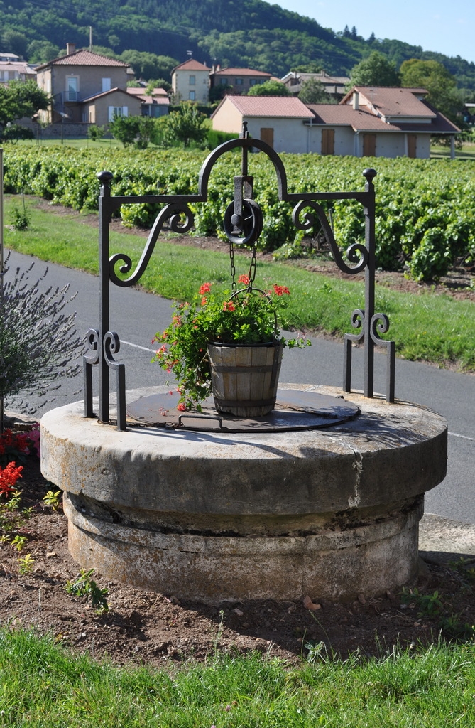 Le Puits à l'Entrée du Château - Montmelas-Saint-Sorlin