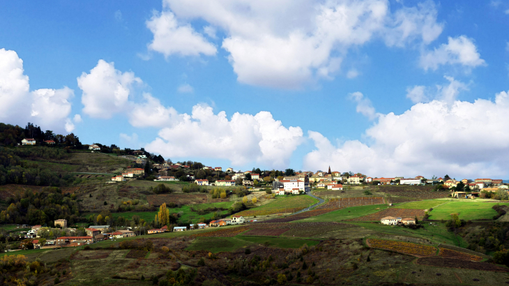 Vue panoramique - Montmelas-Saint-Sorlin