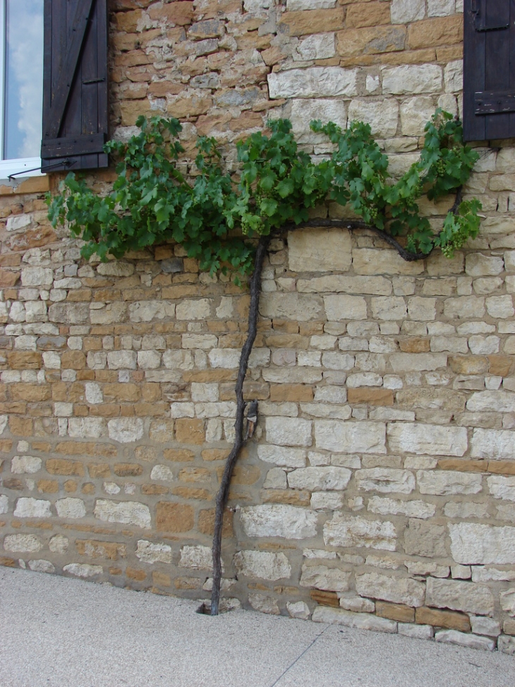 Dans les rues du Village - Morancé