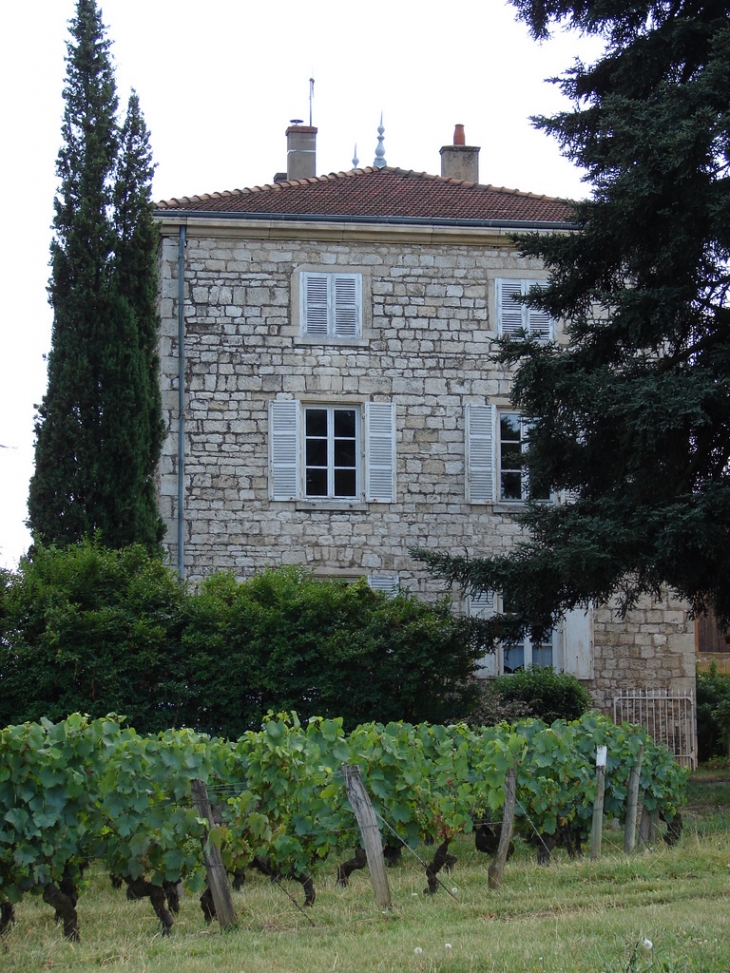 Le Domaine Lassalle - Morancé