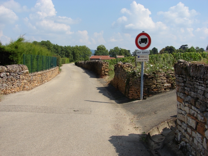 Par les chemins de Morancé