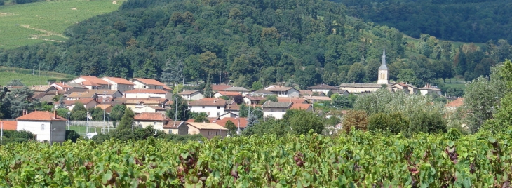 Vue générale du Village - Odenas