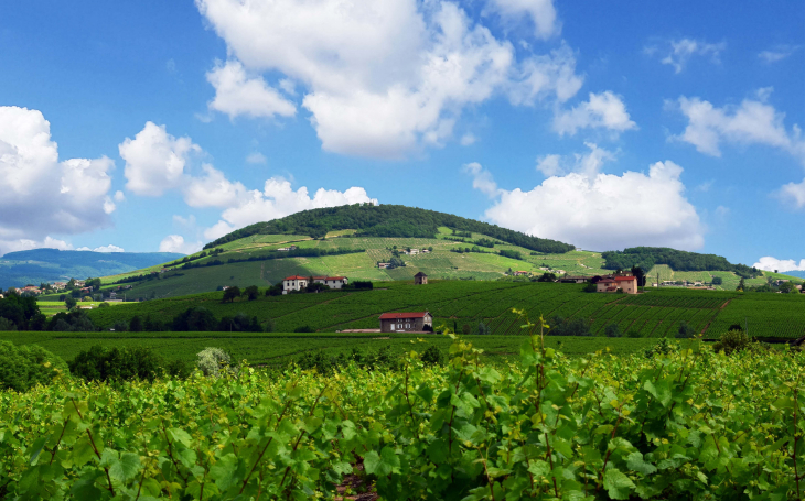 Mont Brouilly - Odenas