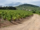 Photo précédente de Odenas Le Mont Brouilly