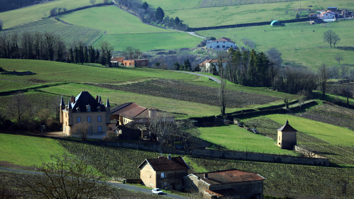 Château - Oingt