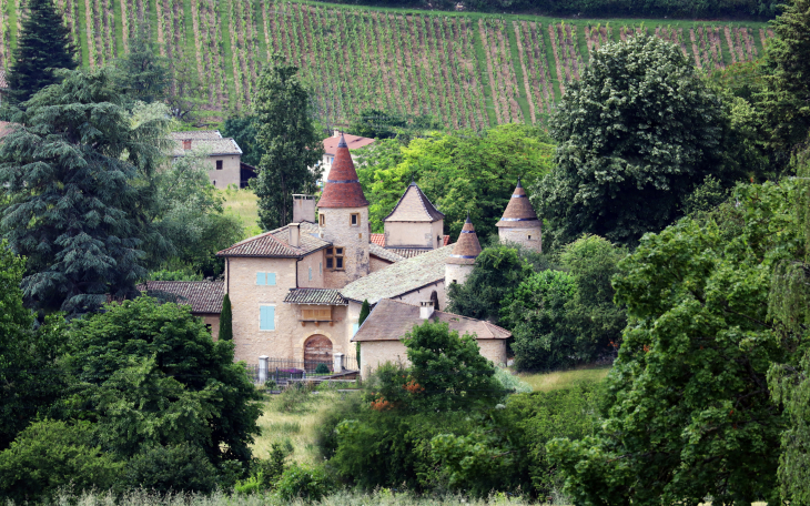 Château des Tours - Pommiers