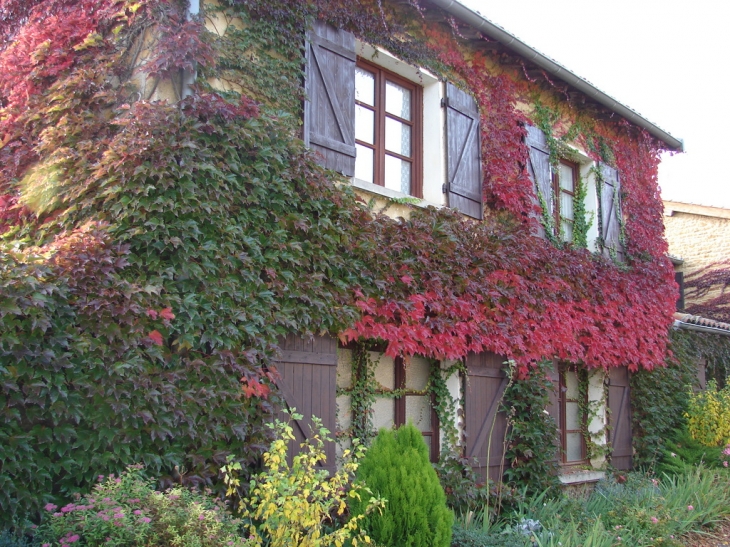 Les Graves - Pouilly-le-Monial