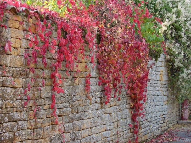 Dans le Village - Pouilly-le-Monial