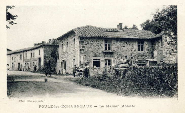 Maison Molette - Poule-les-Écharmeaux